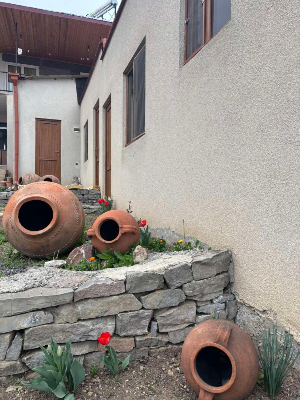 Saro B&B And Safari Tours Tat'ev Buitenkant foto